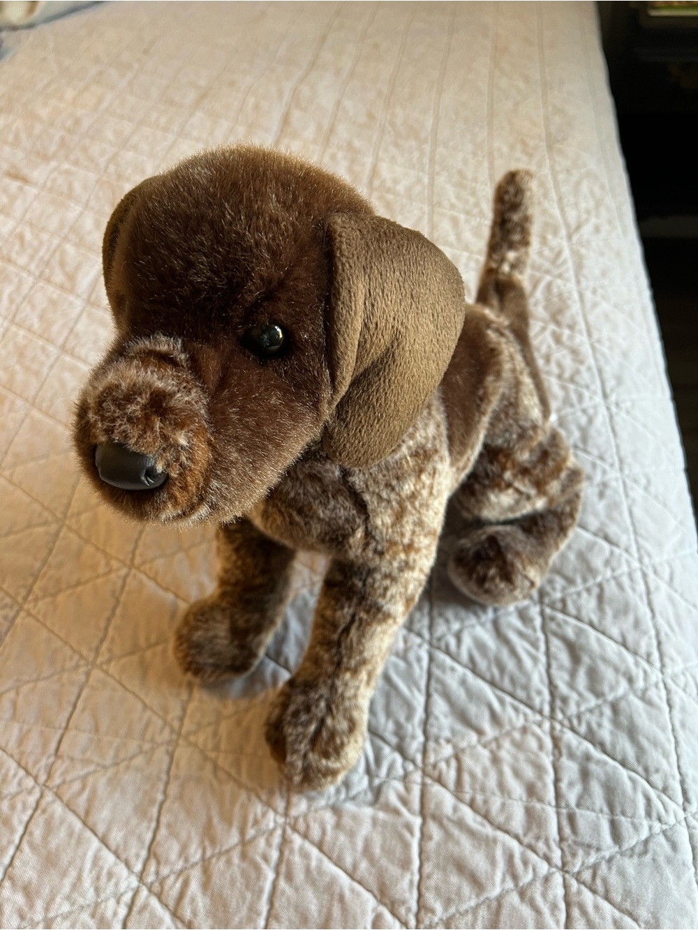 Bass Pro Shops German Shorthaired Pointer Dog Douglas Stuffed Plush With Collar